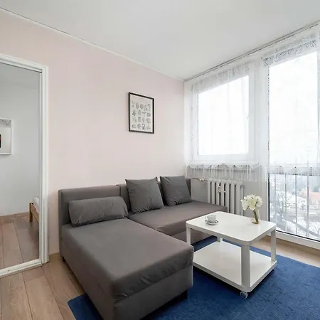 Functional With A View Of The In A Quiet Area Of By Renters Apartament *
